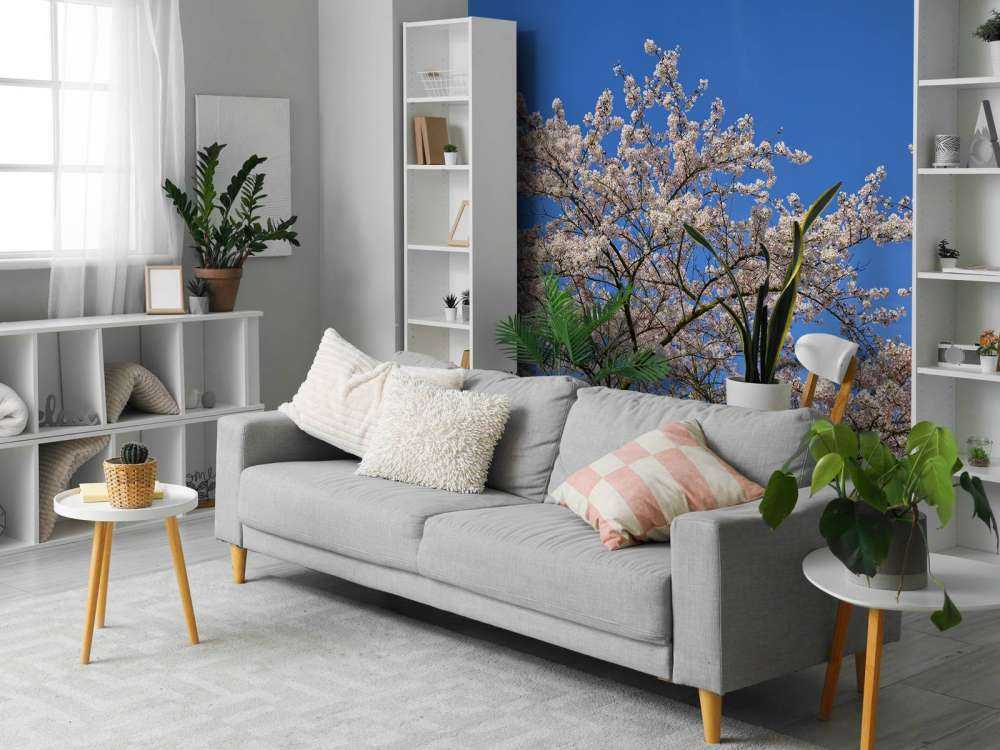 Fiore con il cielo blu