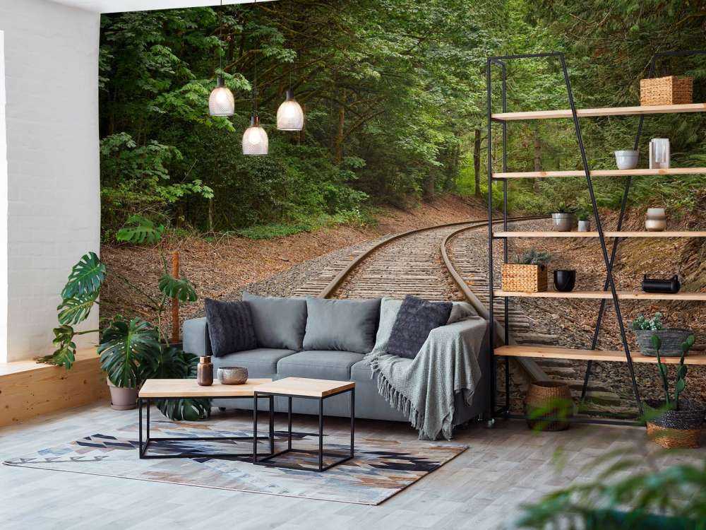 Linea ferroviaria attraverso la foresta