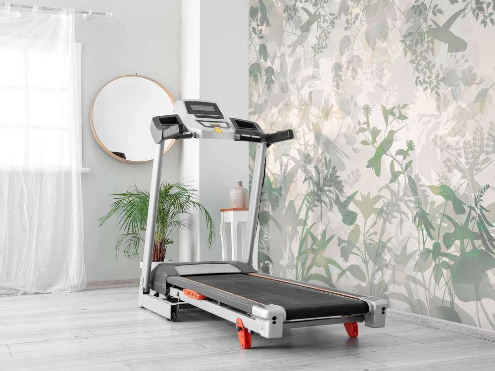 Sinfonia del Giardino in Verde Scuro