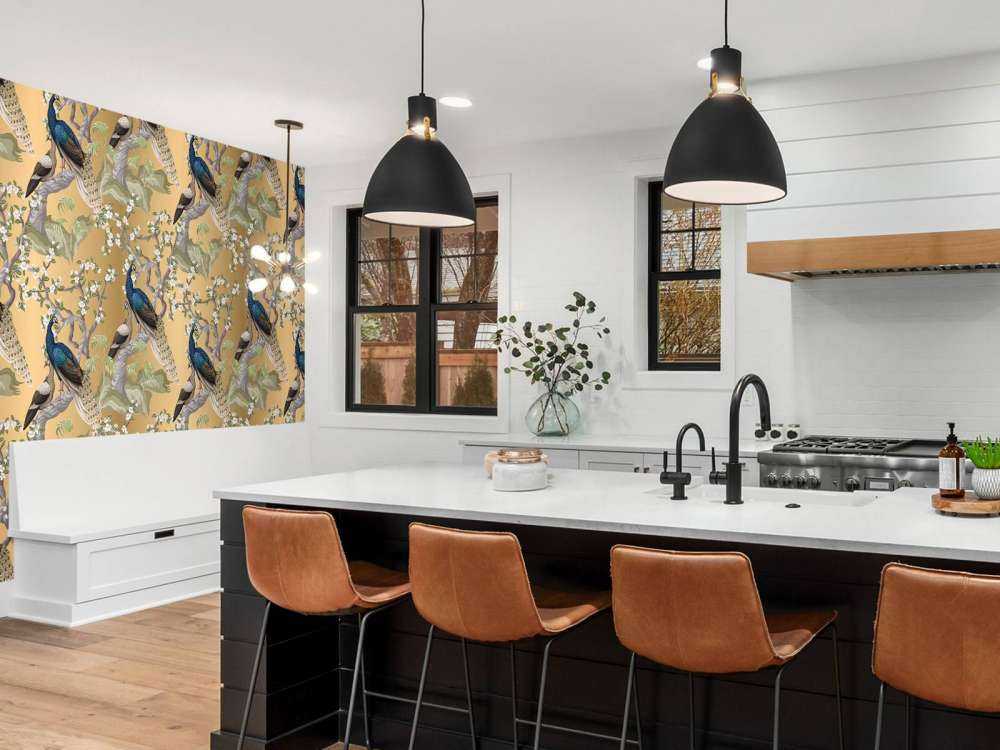 Sussurri di Pavone in un'Oasi