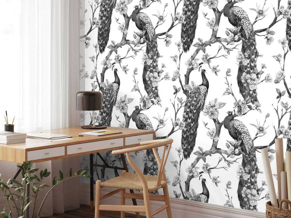 Splendore Monocromatico di Pavone