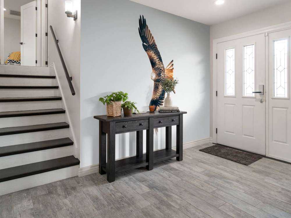 Nibbio rosso ad ali spiegate