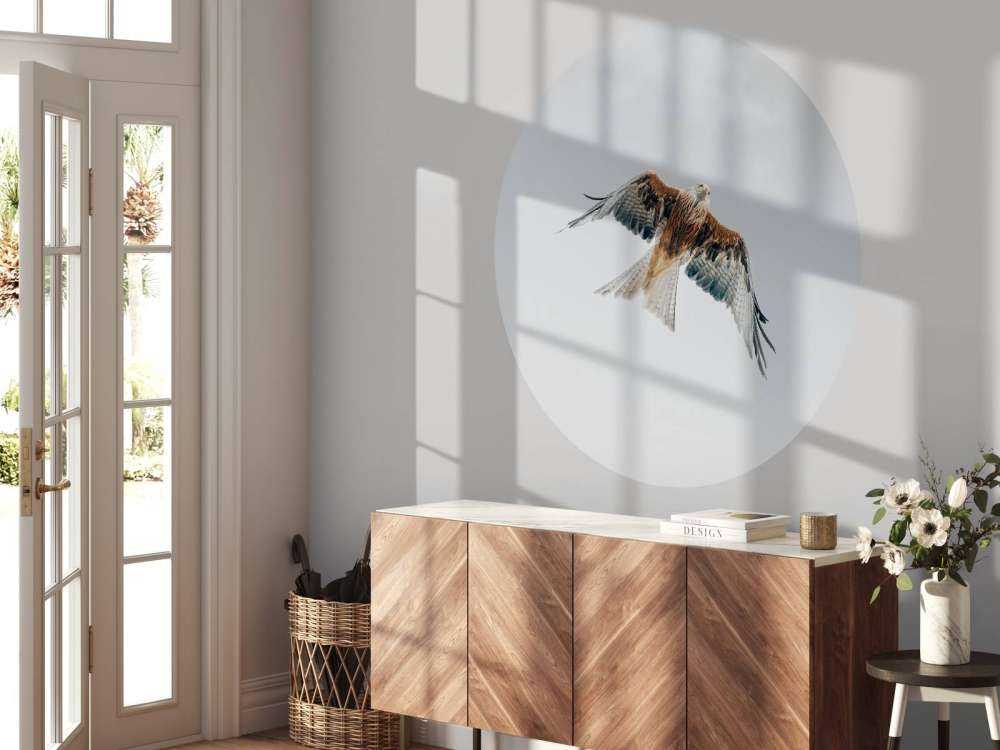 Aquilone rosso nel cielo