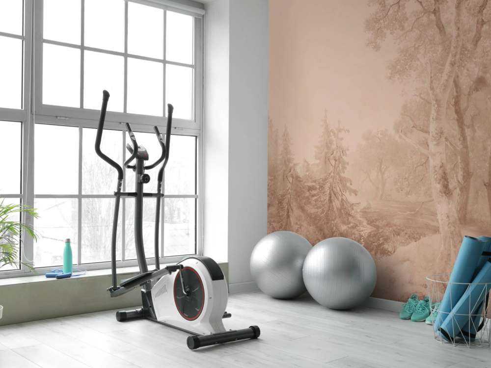 Paesaggio Forestale Terra #2