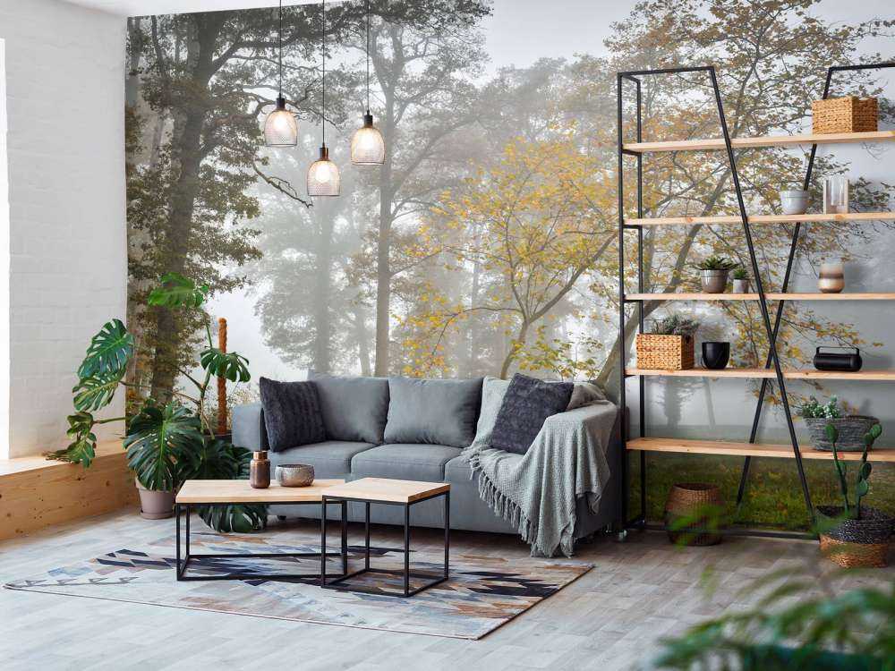 Campo di erba con alberi e nebbia