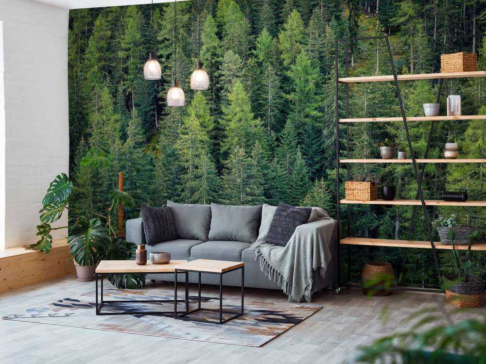 Foresta di abete verde