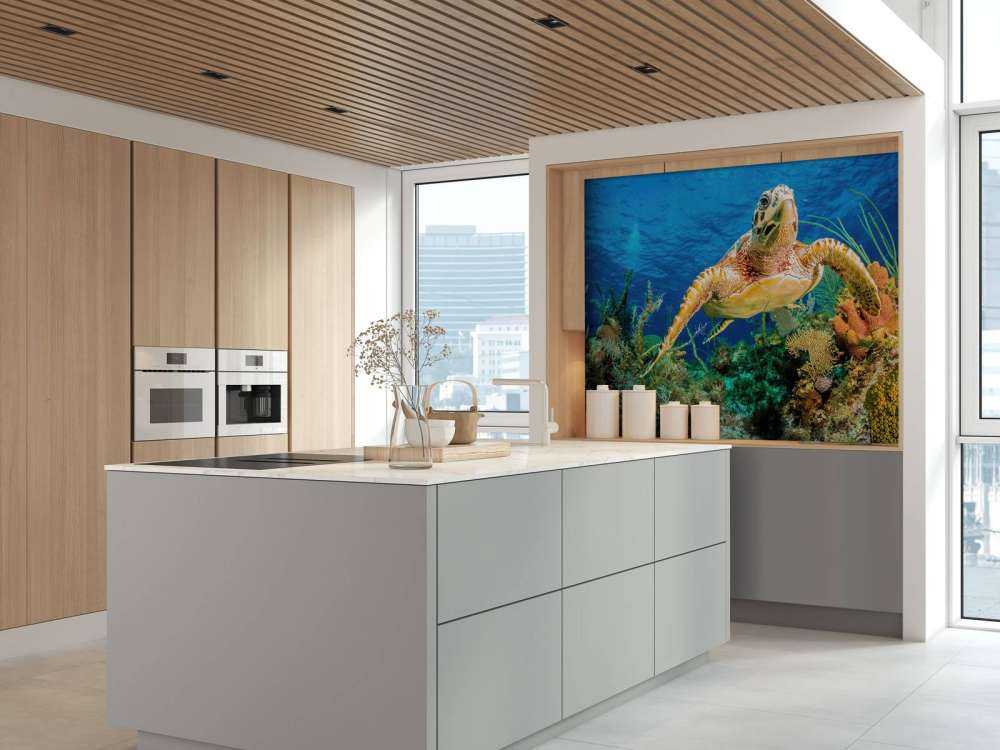 Hawksbill turtle swimming through Caribbean reef