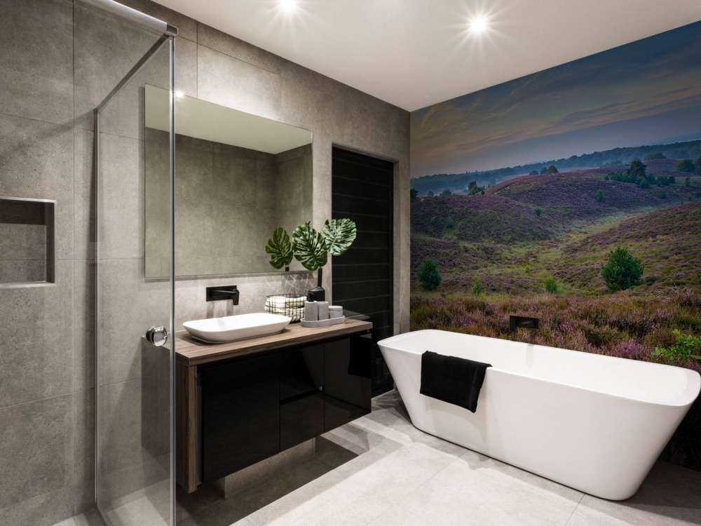 Colline della brughiera