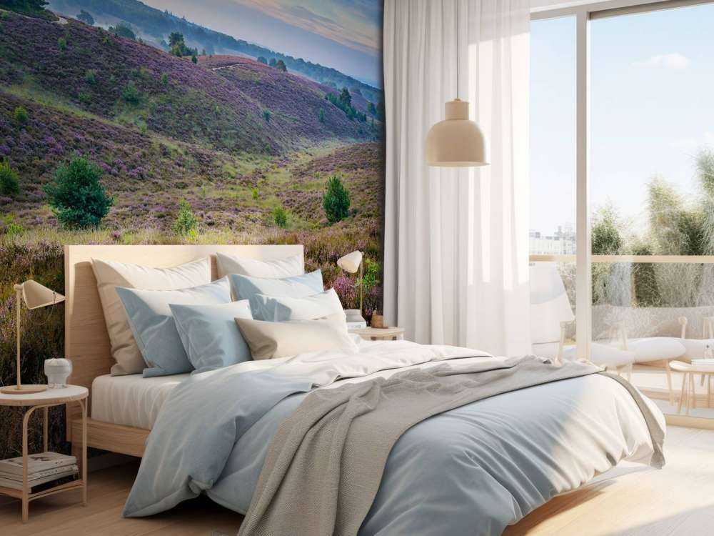 Colline della brughiera