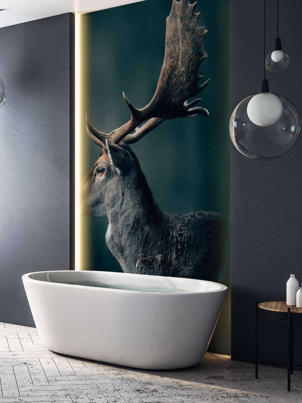 Cervo daino in primo piano