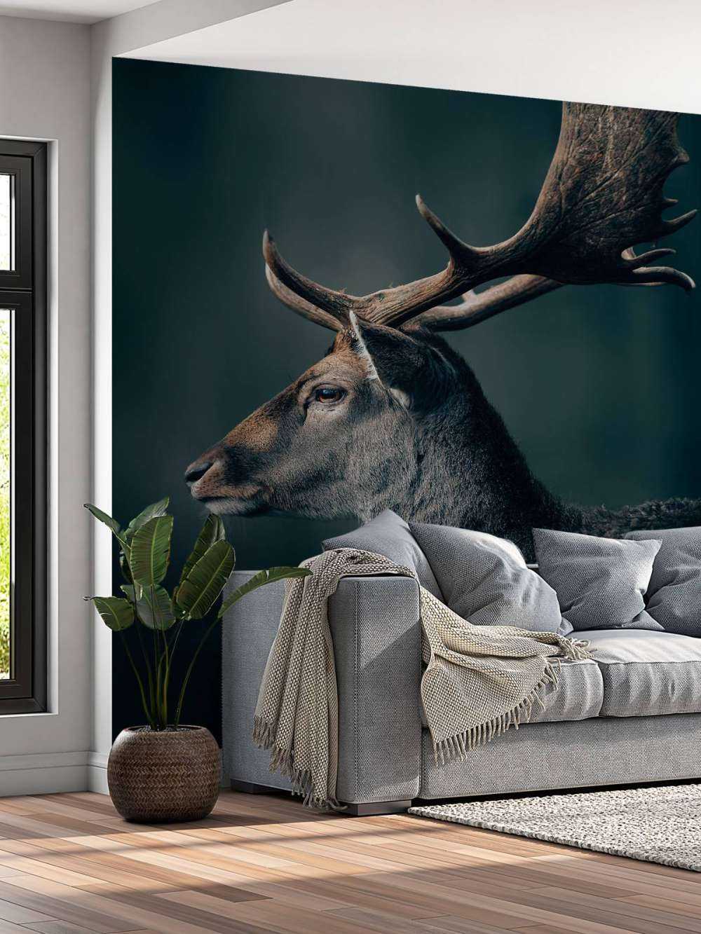 Cervo daino in primo piano