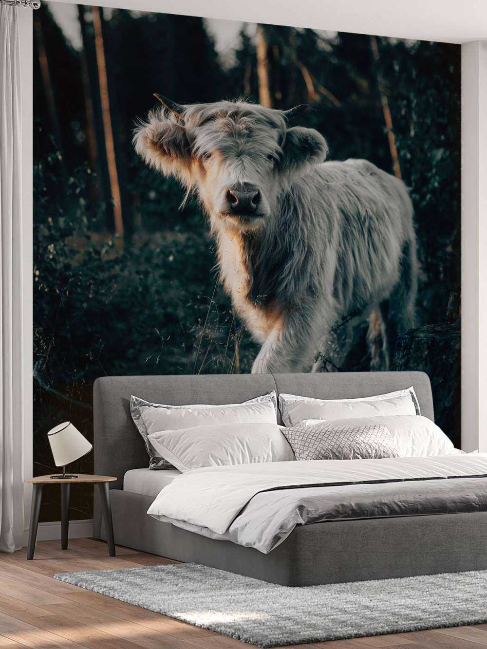 Cucciolo di Highlander scozzese