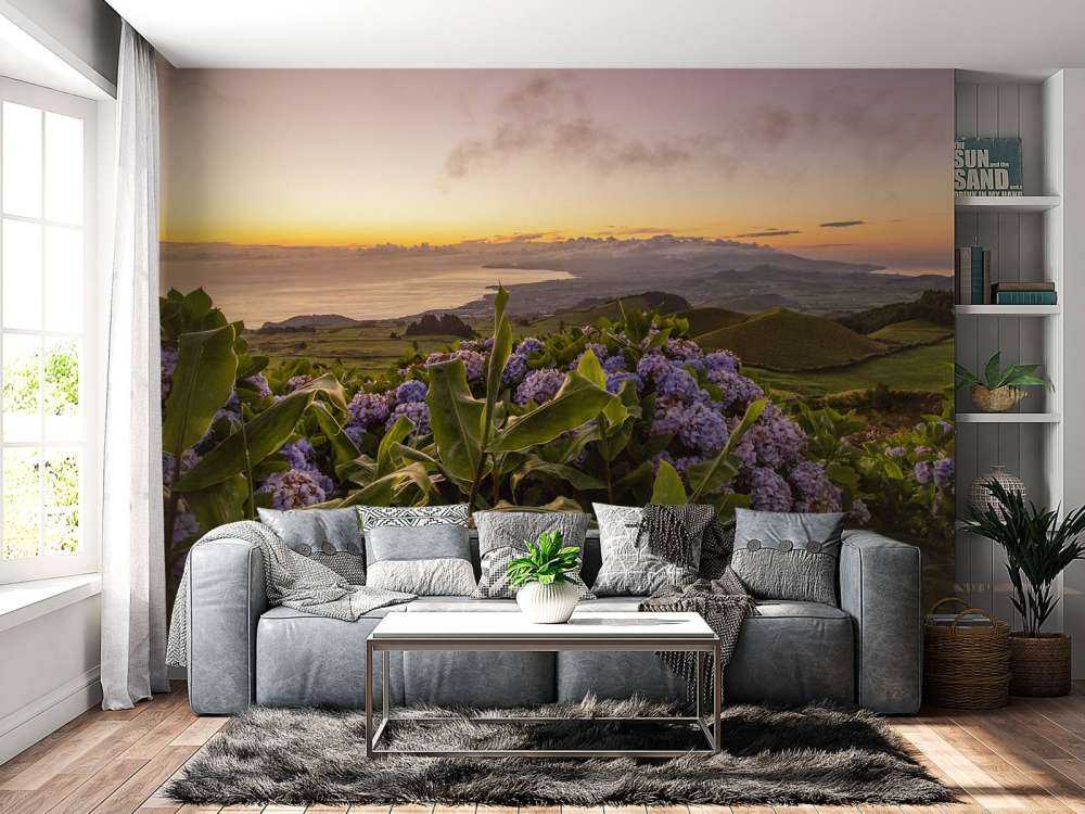 Tramonto con ortensie