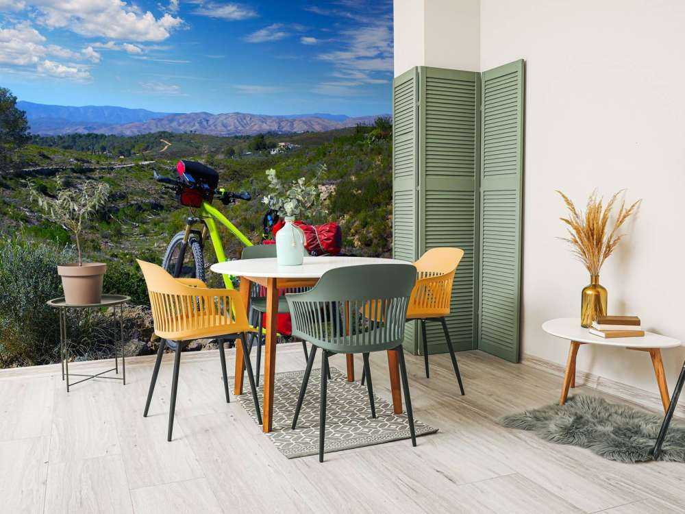 In bicicletta a Valencia