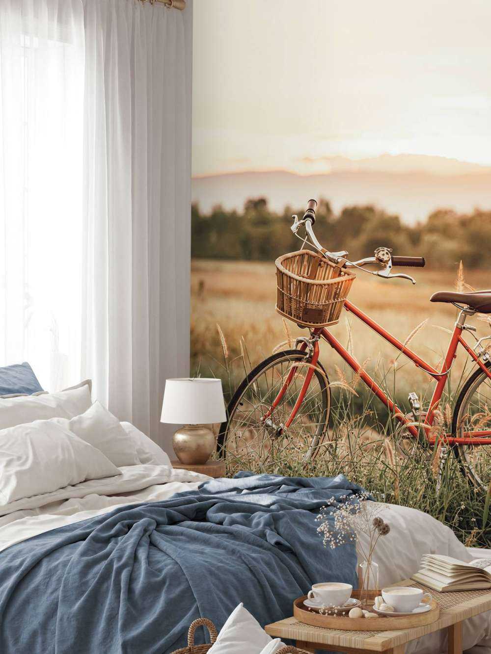 Bici d'epoca in estate