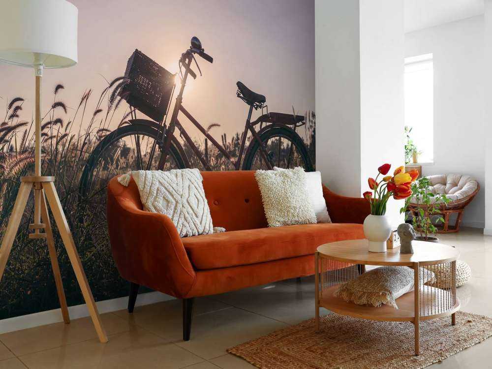 Bicicletta in un campo