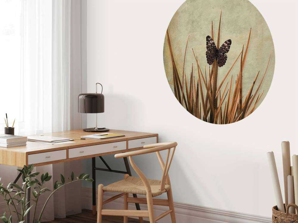 Farfalla vicino a vecchio muro