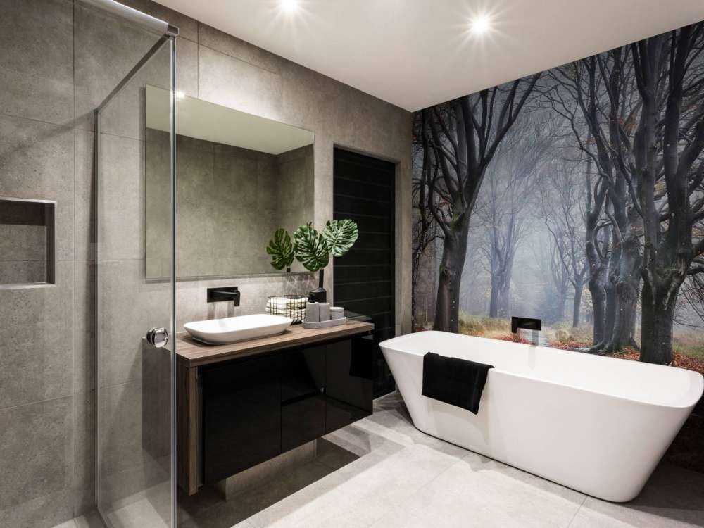 Alberi nella foresta