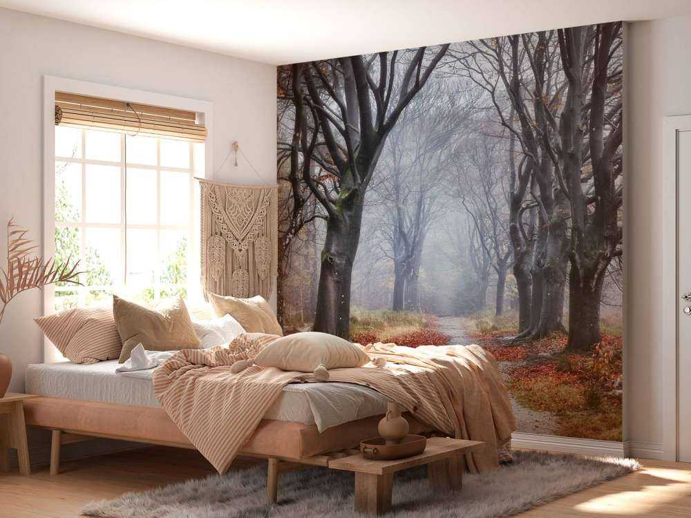 Alberi nella foresta