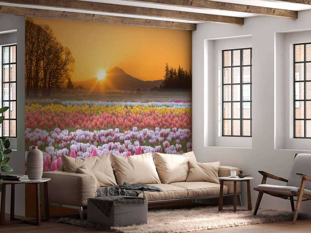 Campo di tulipani colorati