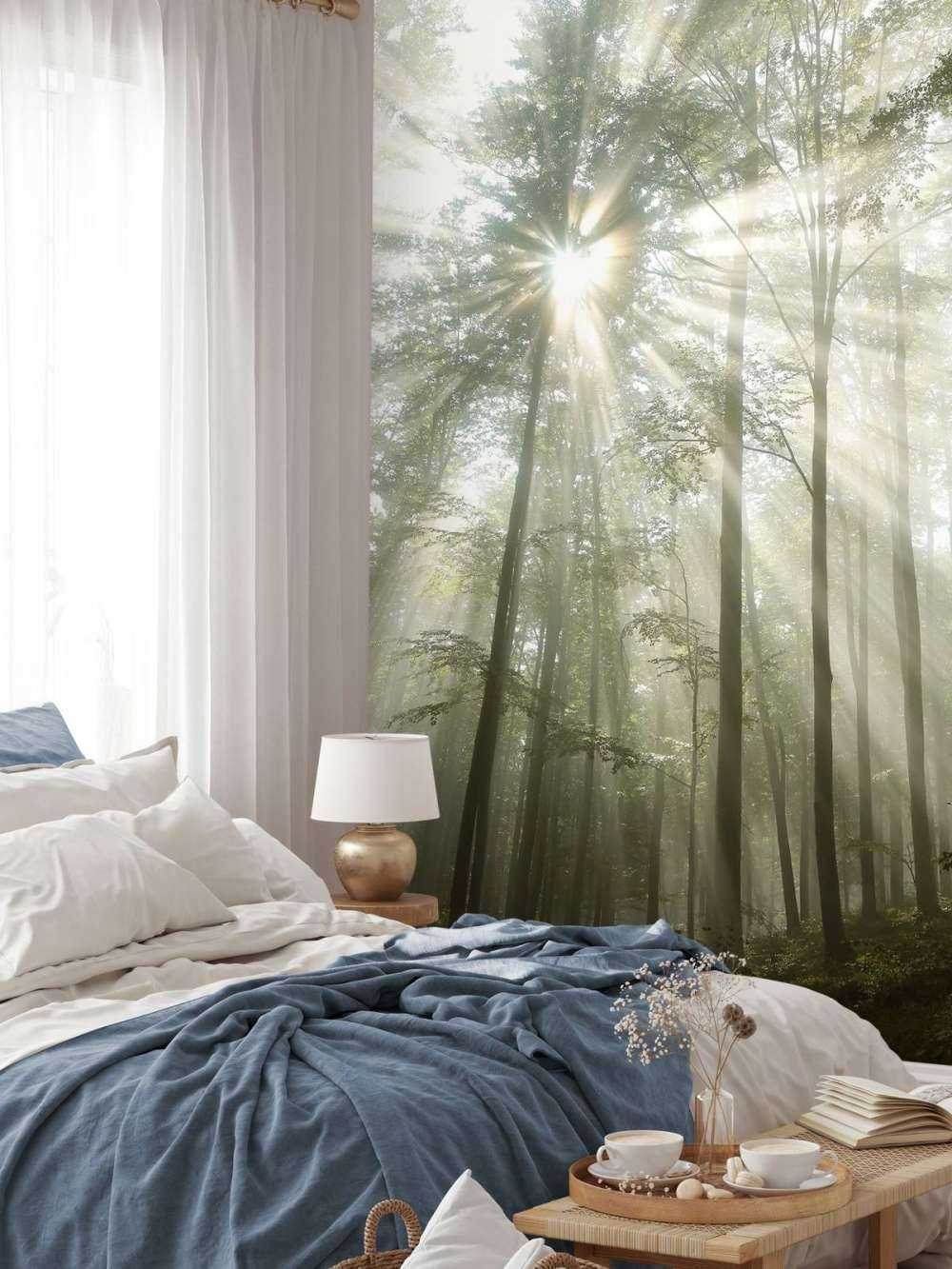 Foresta con la nebbia