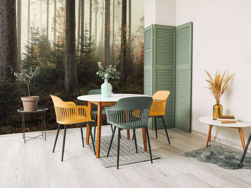 La foresta di Kaufunger