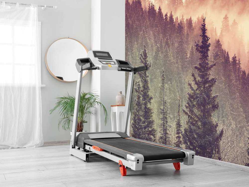 Nebbia nella foresta