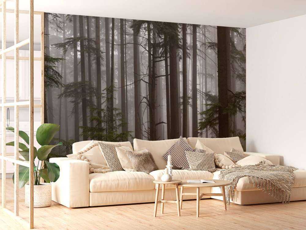 Foresta durante un giorno di nebbia