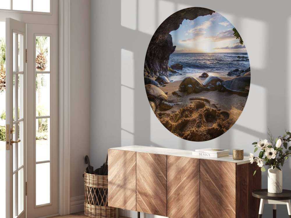 Tartarughe in una grotta