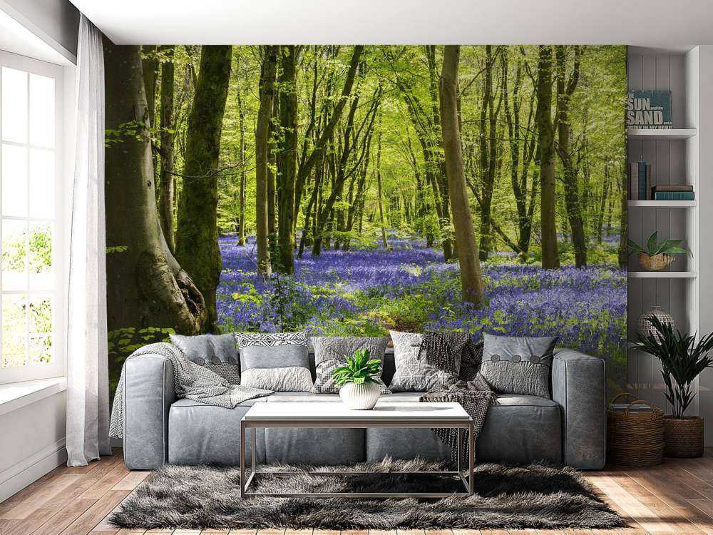 Foresta alla luce del sole