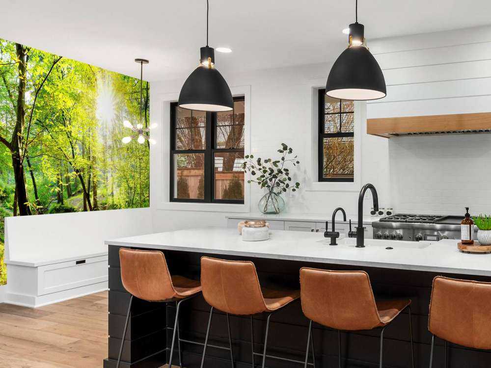 Foresta con un ruscello