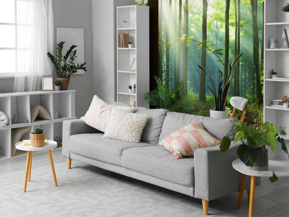 Mattina nella foresta