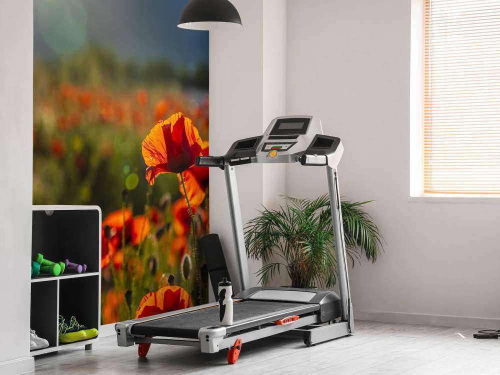 Papaveri con raggi di sole