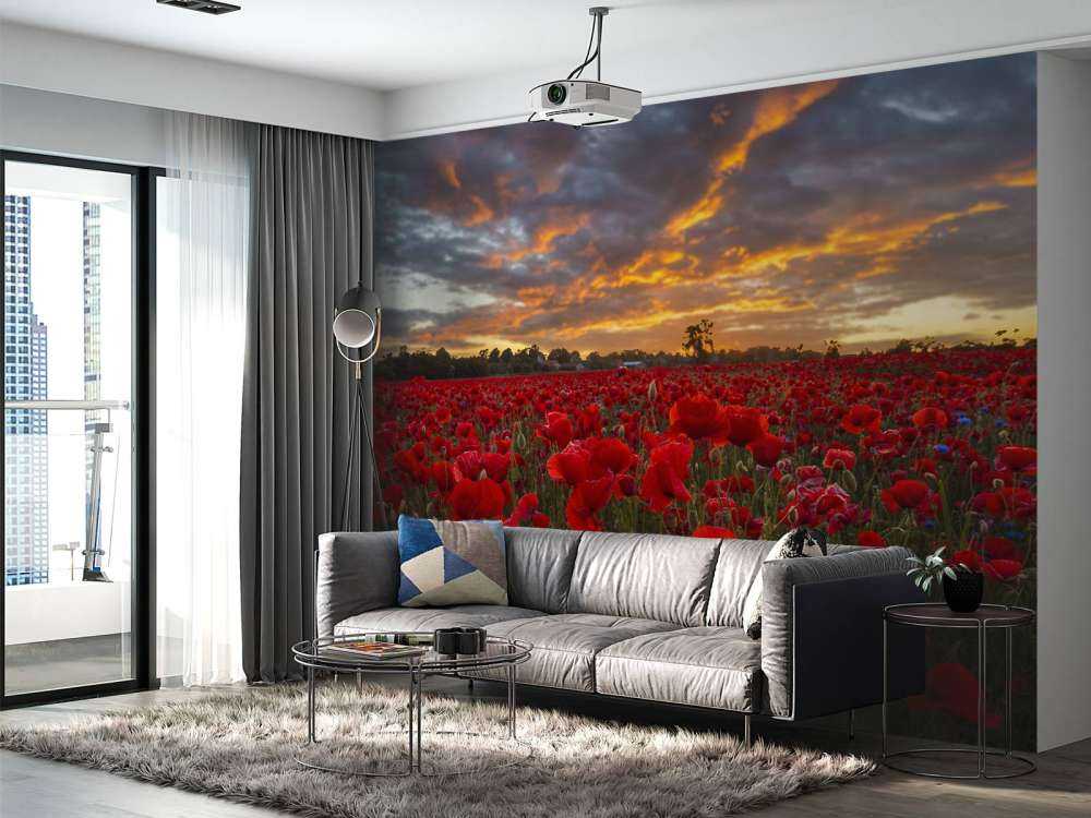 Campo di papaveri con un bel cielo