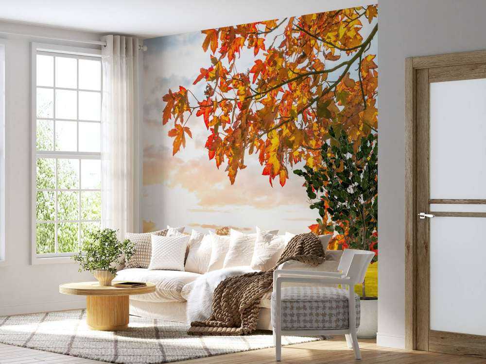 Albero d'autunno al tramonto