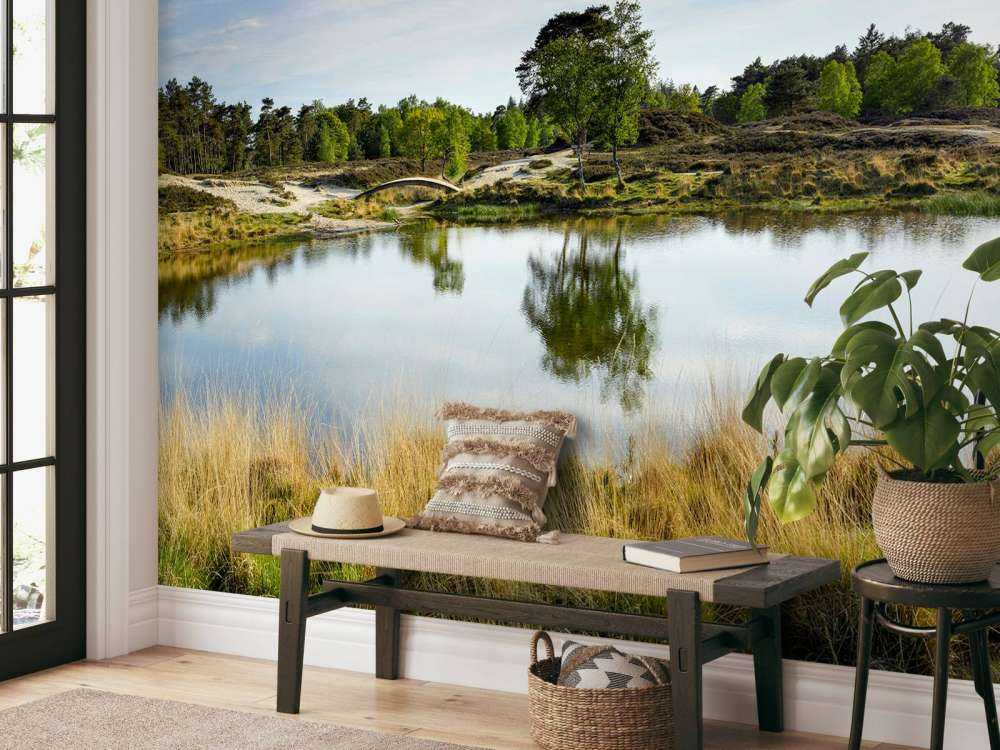 Un piccolo lago forestale nella zona brughiera 