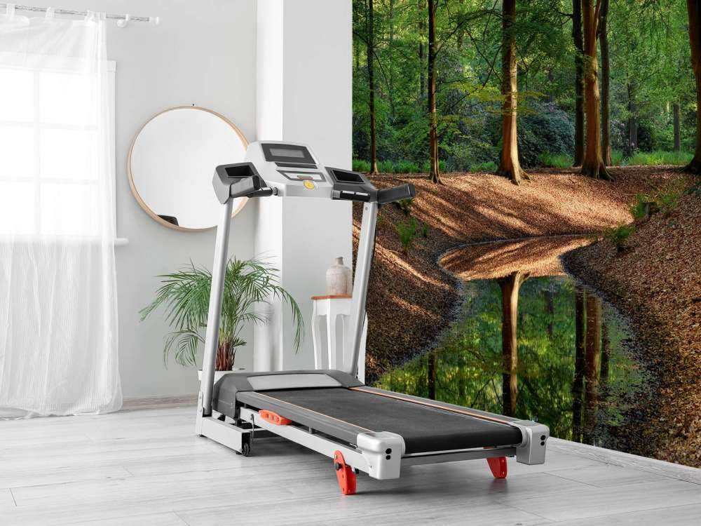 Brooklet nella foresta 