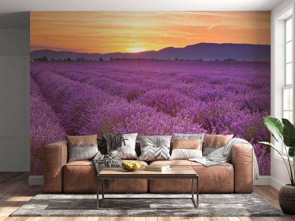 Campo pieno di lavanda