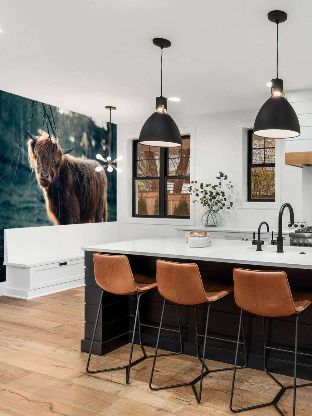 Highlander scozzese ai margini del bosco