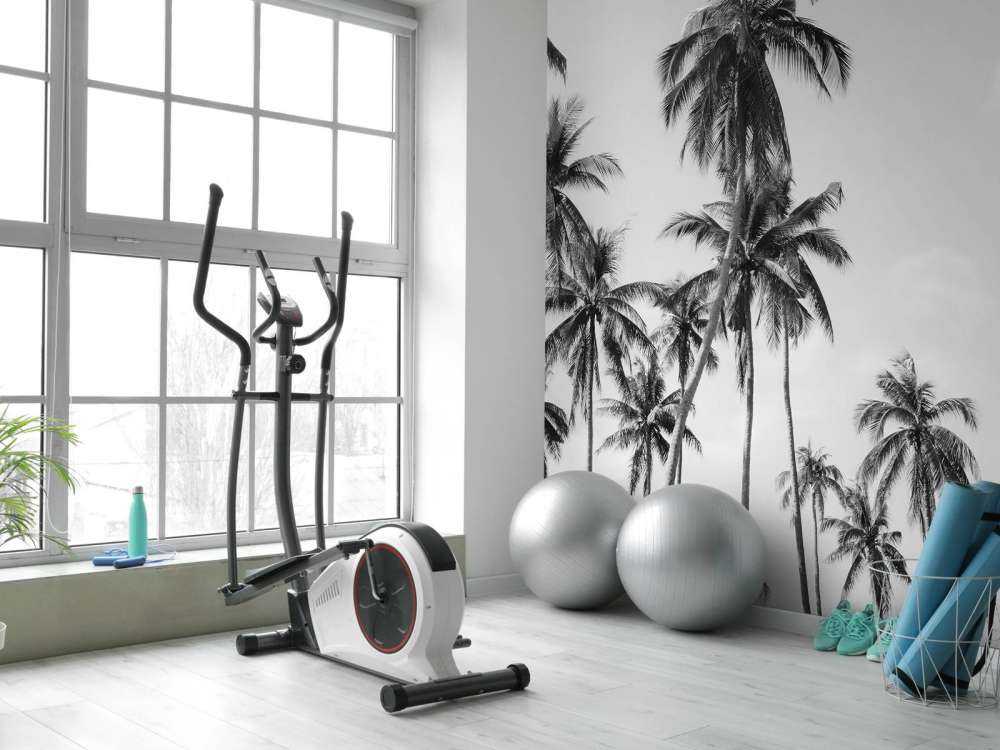 Palme in bianco e nero