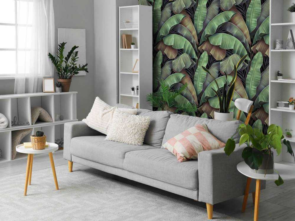 Foglie di banano di lusso