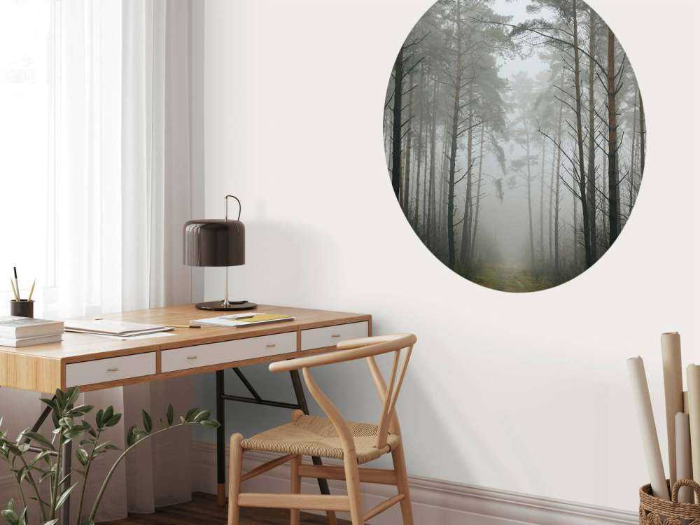 Sentiero nella foresta nebbiosa