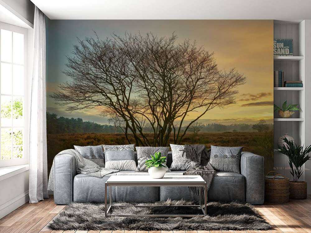 L'alba nella brughiera