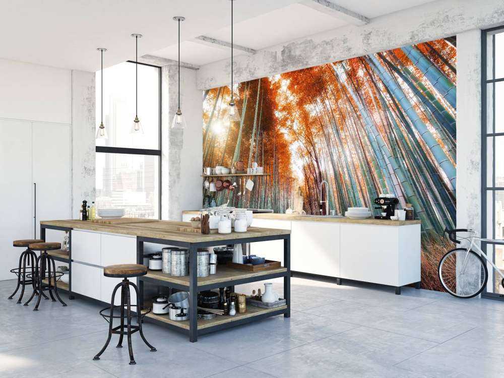 Autunno foresta di bambù