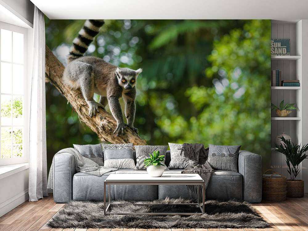 Scimmia dalla coda ad anelli su un albero