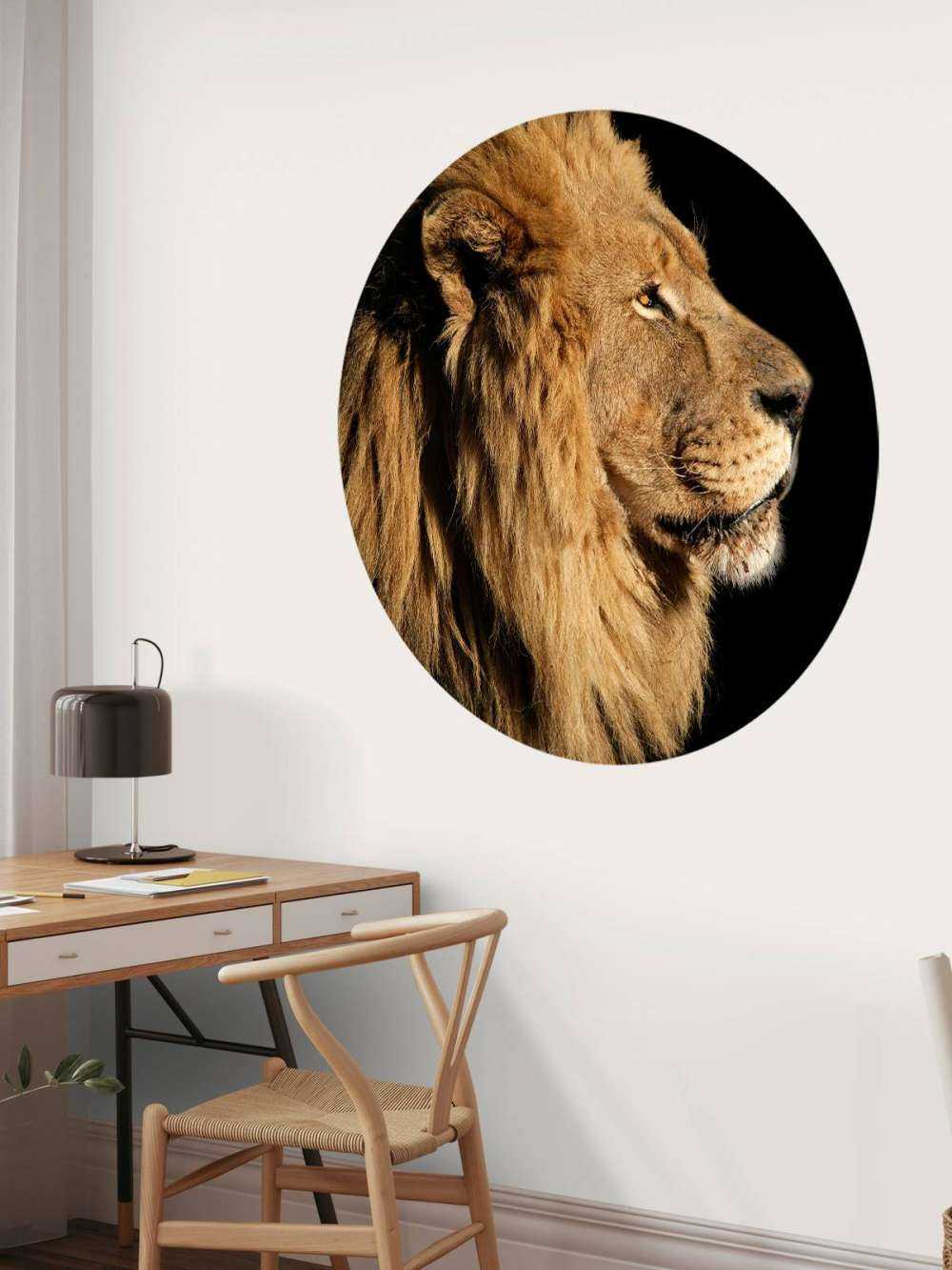 Profilo laterale di un leone