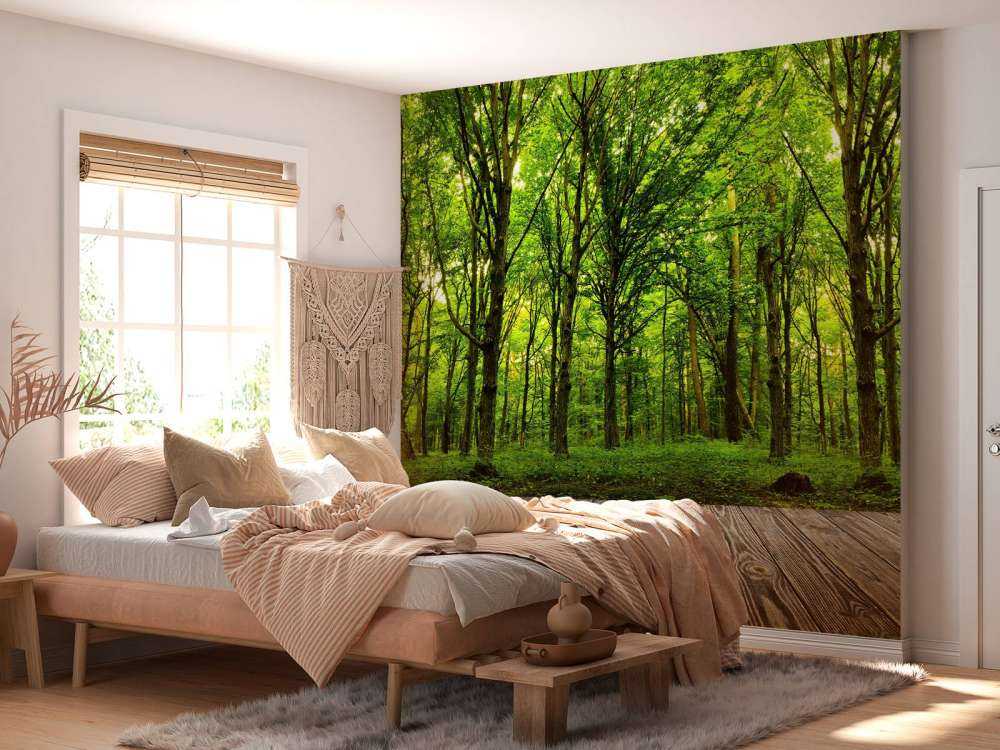 Foresta lussureggiante 