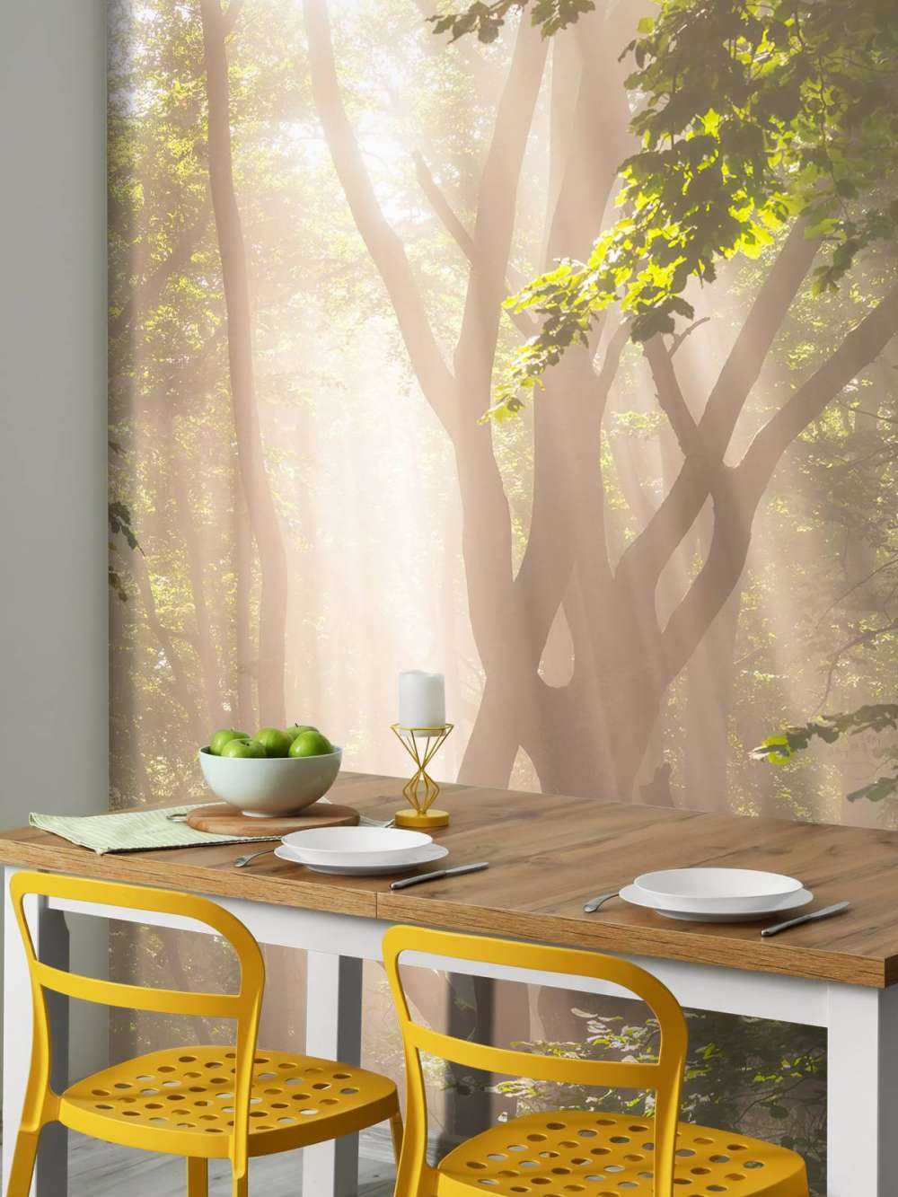 Torsione albero nella foresta