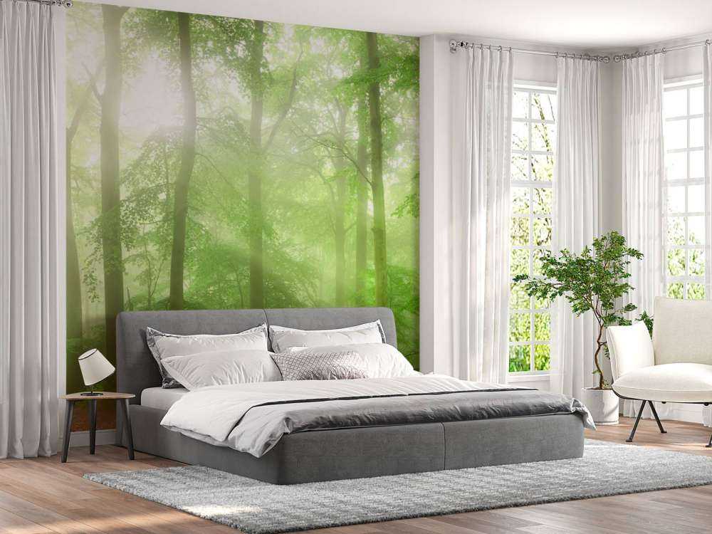 Panorama verde della foresta