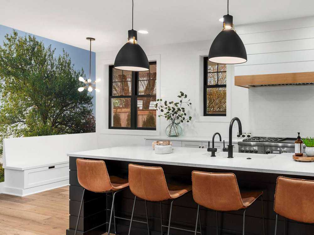 Albero solitario sulla brughiera